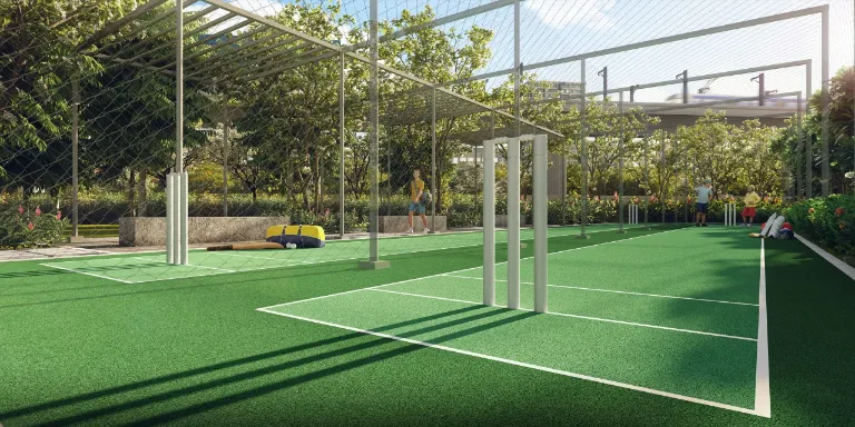 Cricket Court